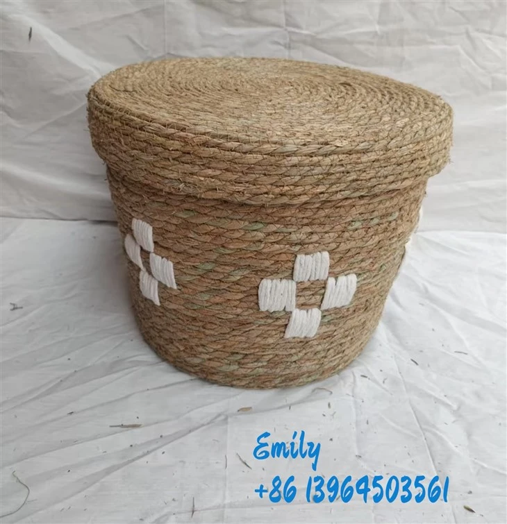 Paniers de stockage naturels modernes